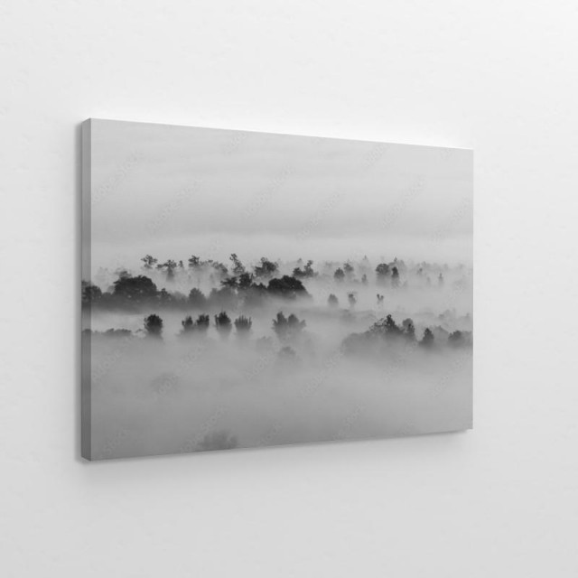 Obraz na płótnie Niskie chmury w koronach drzew