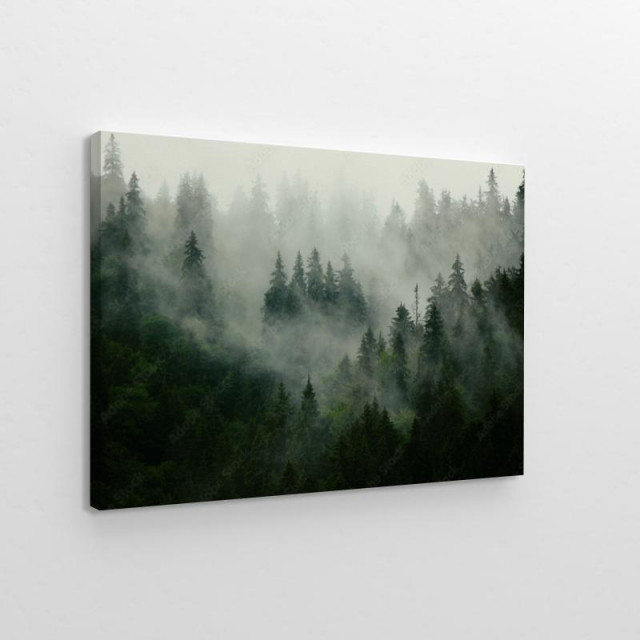 Obraz na płótnie Bardzo mglisty las