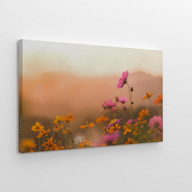 Obraz na płótnie Kolorowe kwiaty na łące