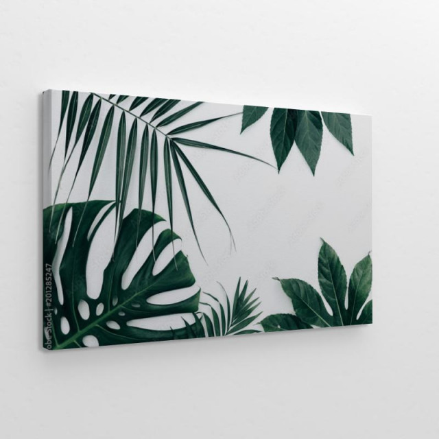 Tropikalne liście obraz