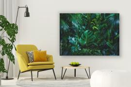 Tropikalne liście palmy obraz