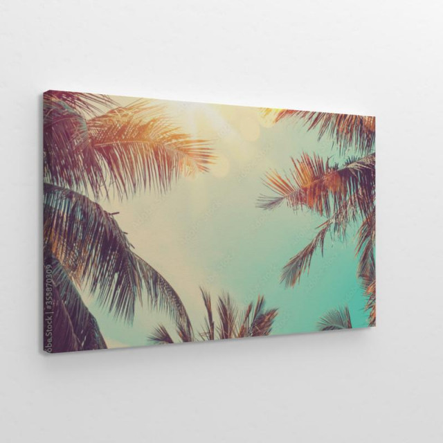 Słoneczne palmy obraz