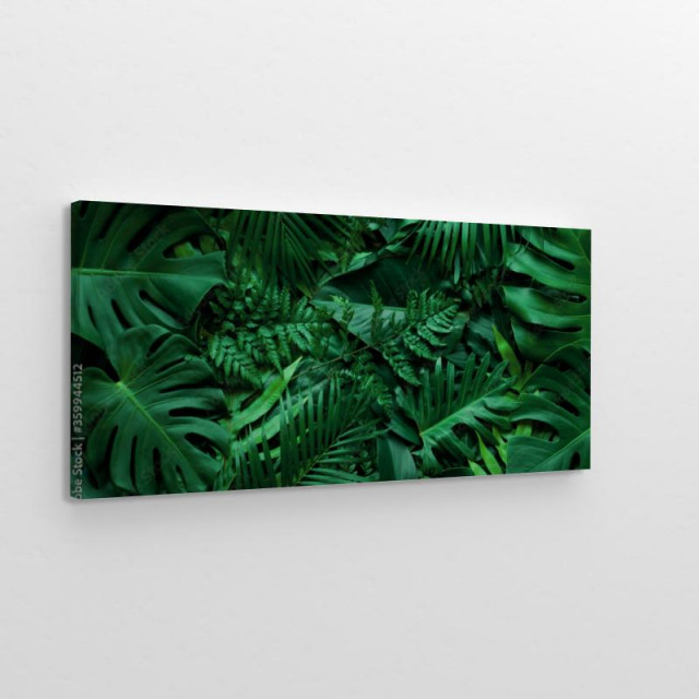 Obraz na płótnie Tropikalne liście monstera palma