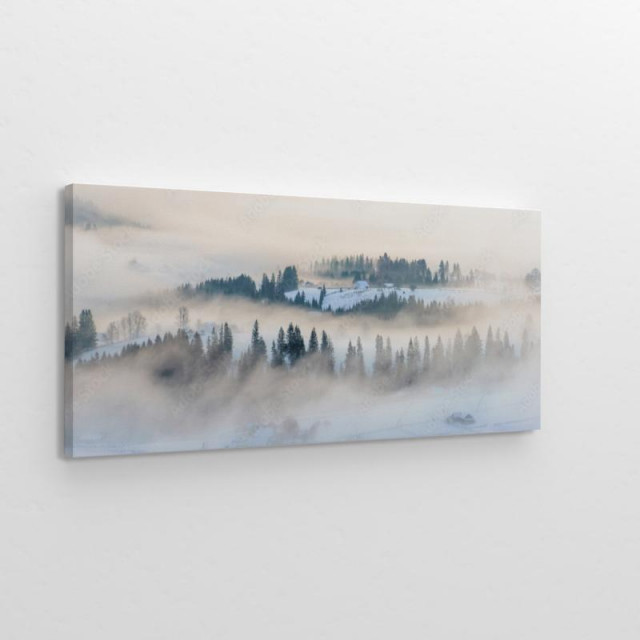 Obraz na płótnie Zimowy krajobraz we mgle