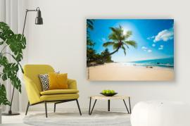 Tropical beach obraz