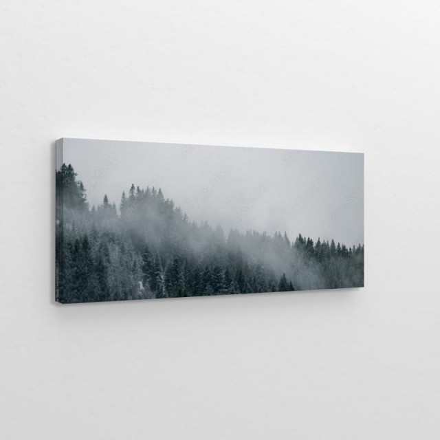 Niesamowita mgła w lesie obraz