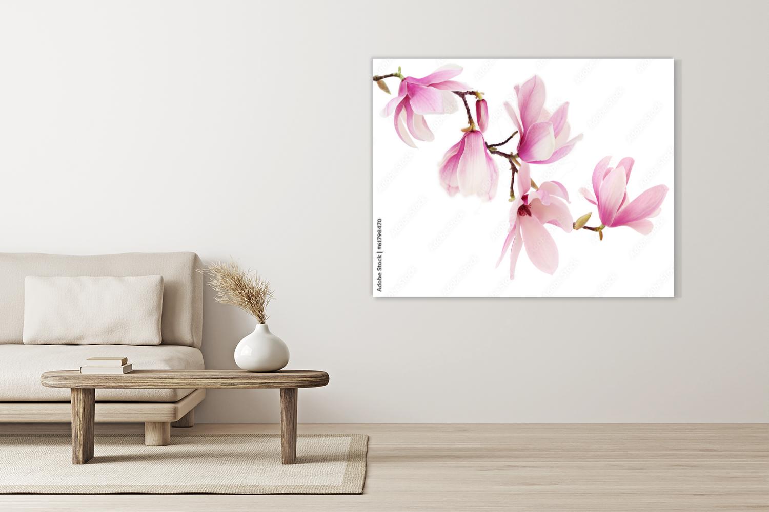 Pink spring magnolia flowers obraz