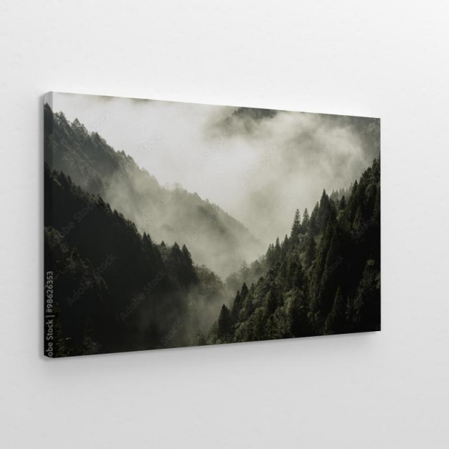 Obraz na płótnie Wysoka góra we mgle