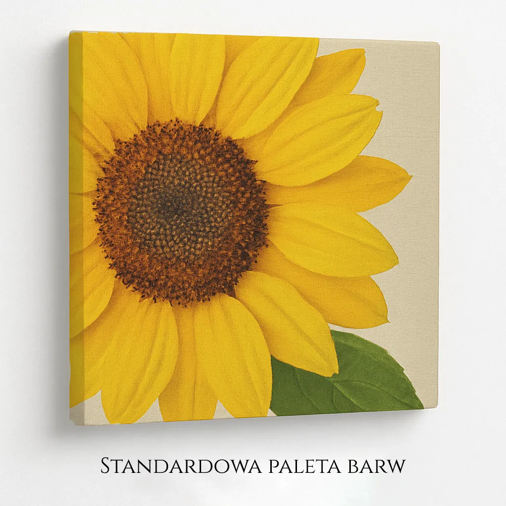 Standardowa paleta barw